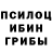 Псилоцибиновые грибы Psilocybine cubensis 042873E