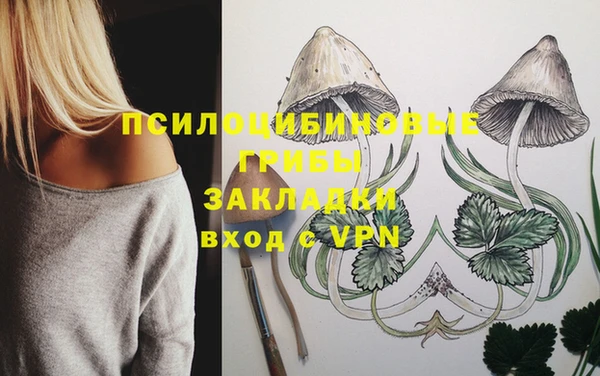 мдпв Михайлов