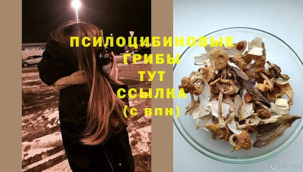 мдпв Михайлов