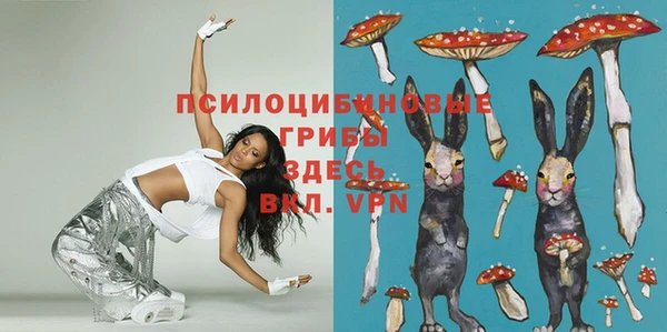 мдпв Михайлов