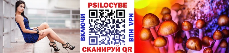 Галлюциногенные грибы Psilocybine cubensis  Починок 